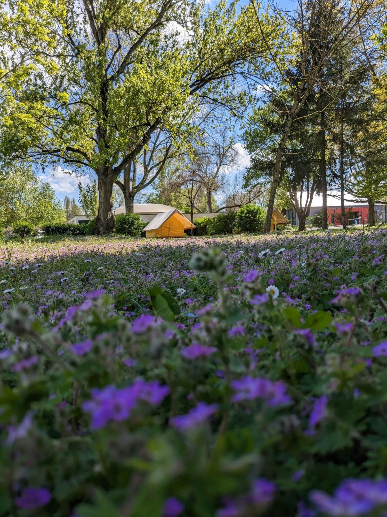 Onlycamp Tours Val De Loire *